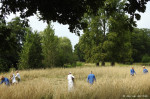 Oogstgroep